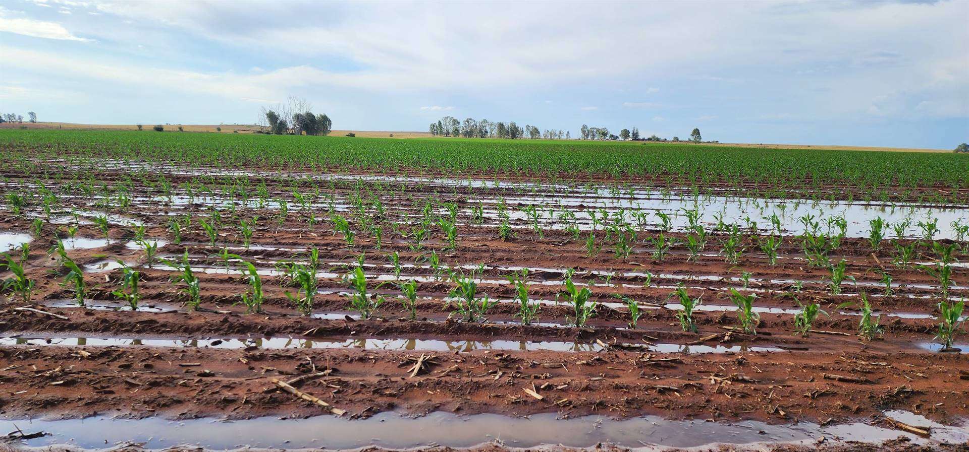 Buie in baie warm Kersweek in Vrystaat en Noord-Kaap verwag