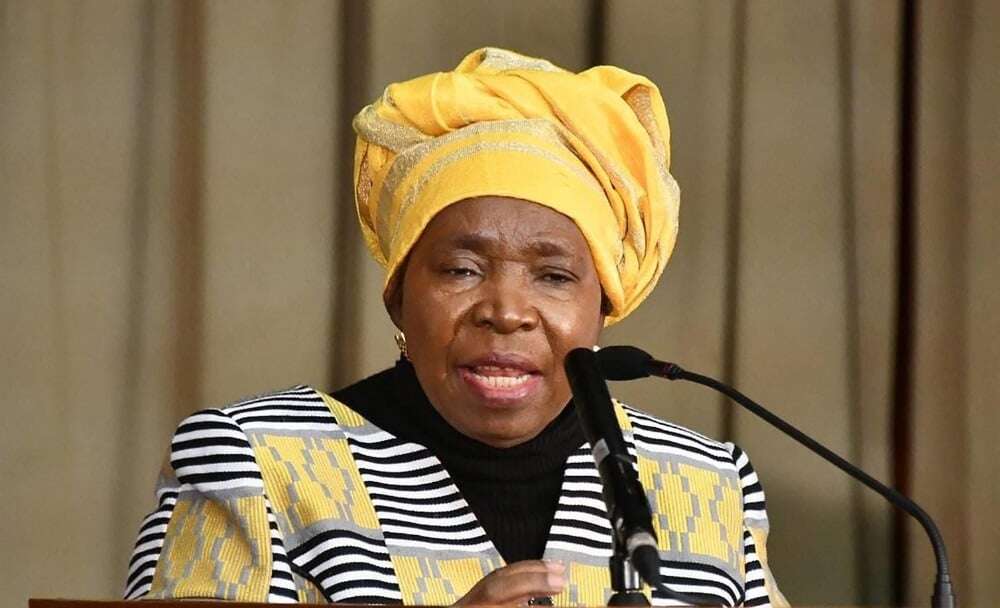 Former ministers Dlamini-Zuma and Pandor offer advisory services to Gauteng leaders