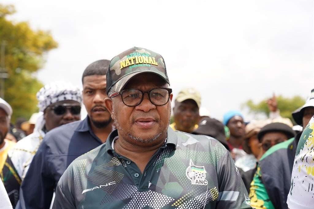 Mbalula calls for SANDF to help police crack down on spaza shops selling expired food