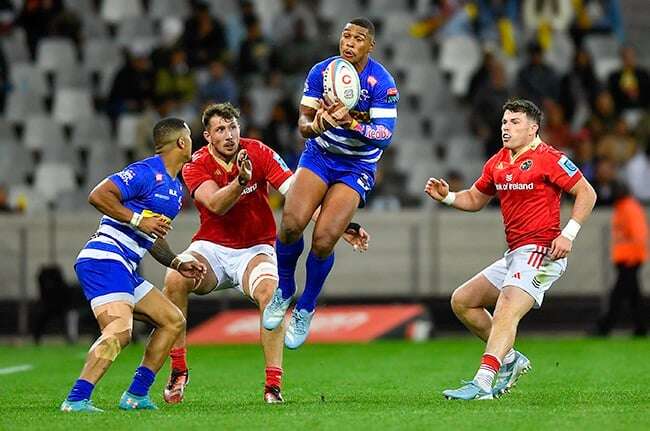 Damian Willemse steals Stormers show with perfect No 10 showing: 'He's amazing, a real treasure'