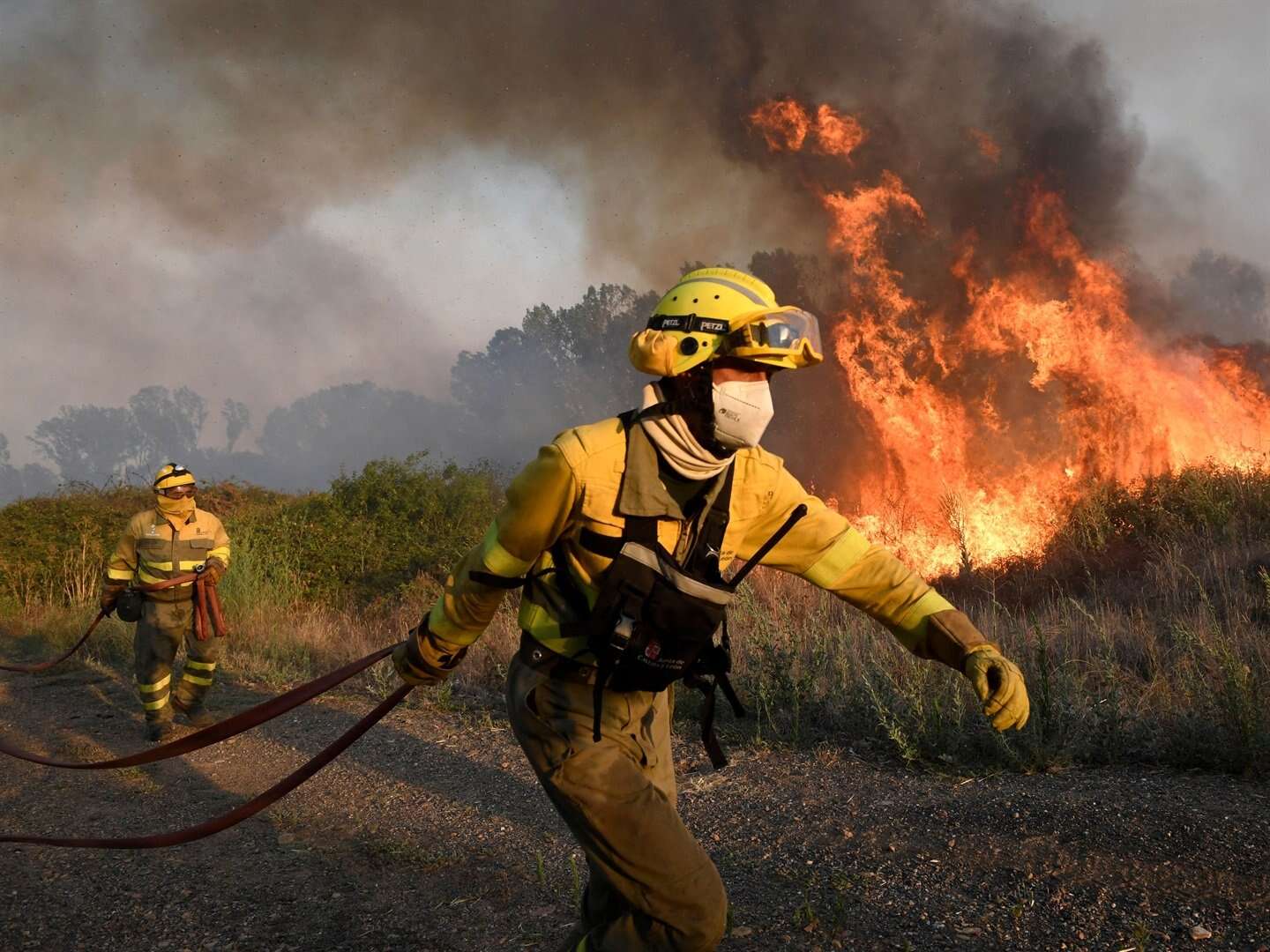 As wildfires wipe out forests, Greeks debate - to replant, or not?