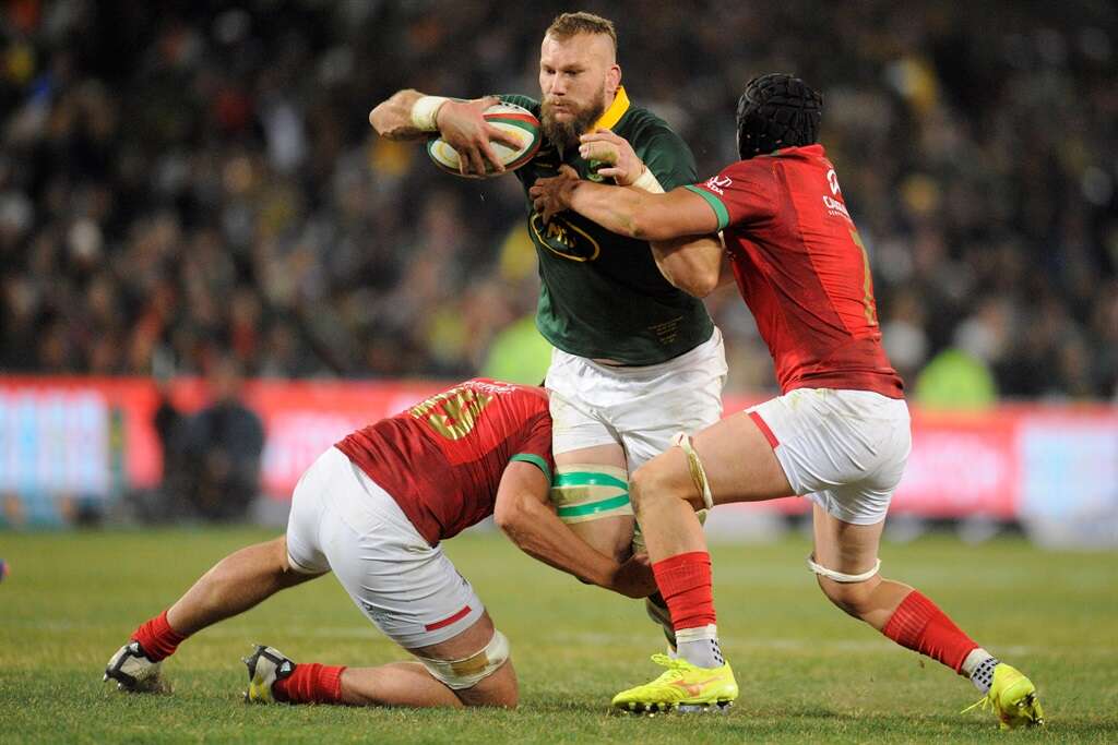 Bok poser: Bomb Squad sacrifices some bang if snarling Snyman starts