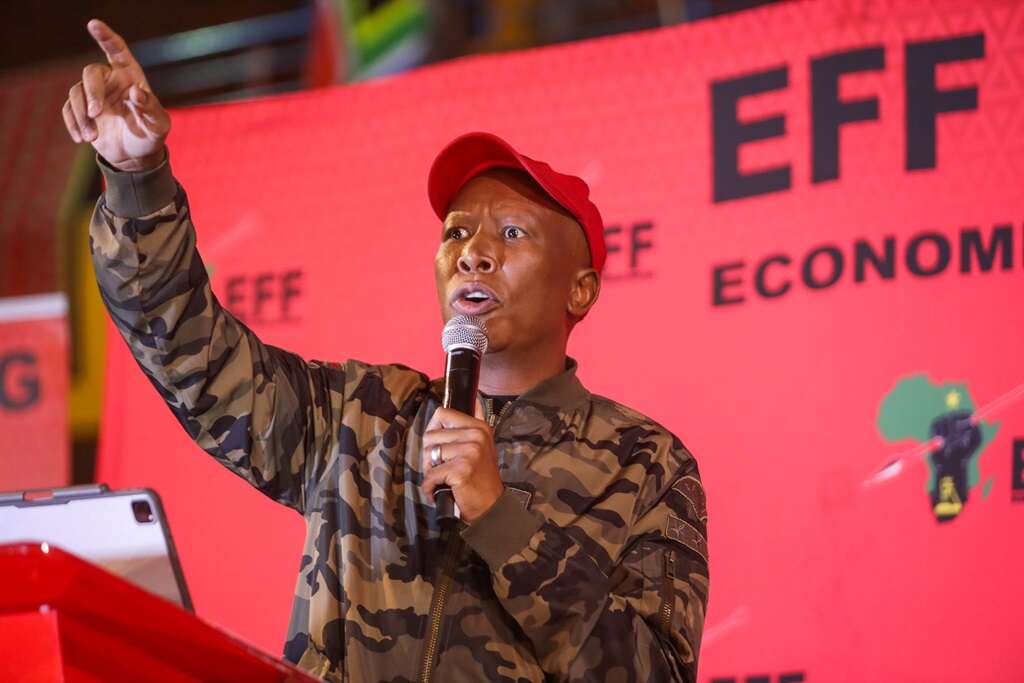 Malema se ‘histeriese’ toespraak ‘wys hy wil wraak neem’