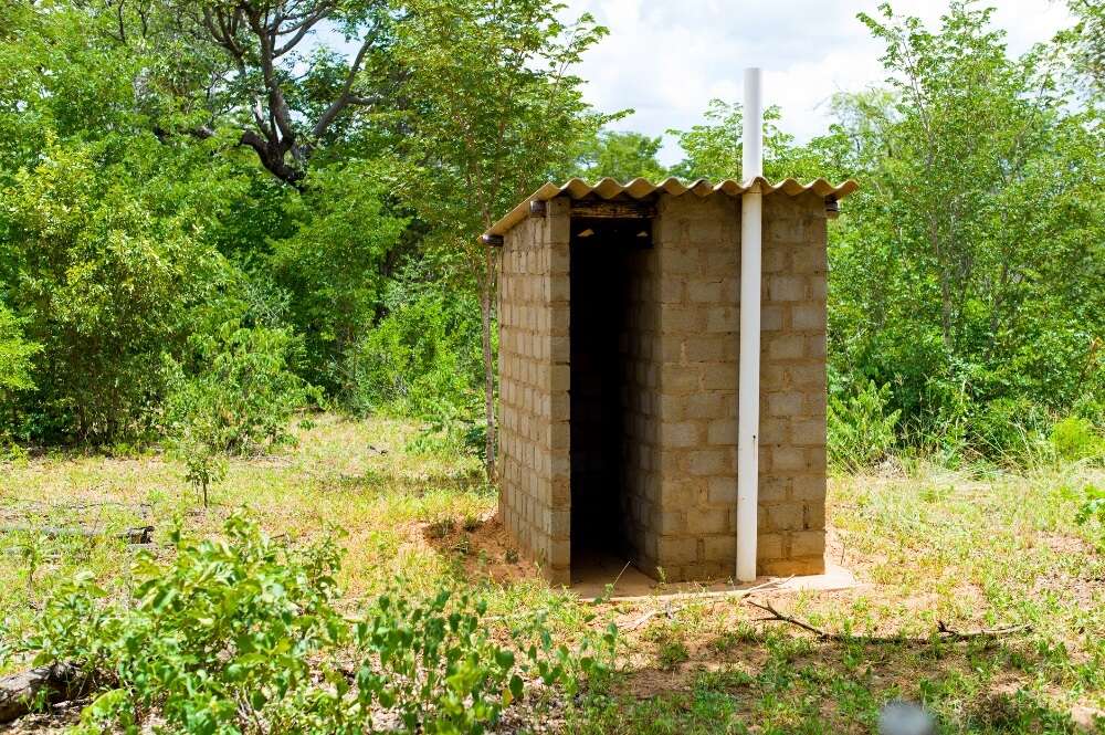 A quarter of rural Zimbabwean population defecate in the open, says official estimate