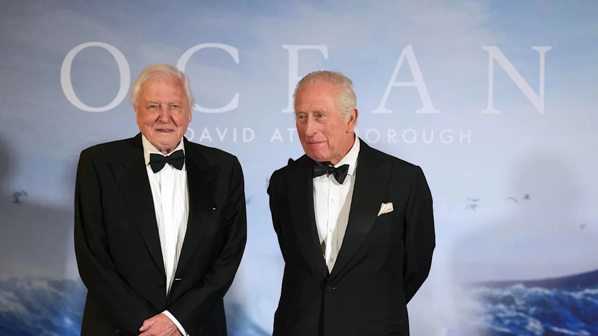 Sir David Beckham and the King lead David Attenborough’s 100th birthday tributes
