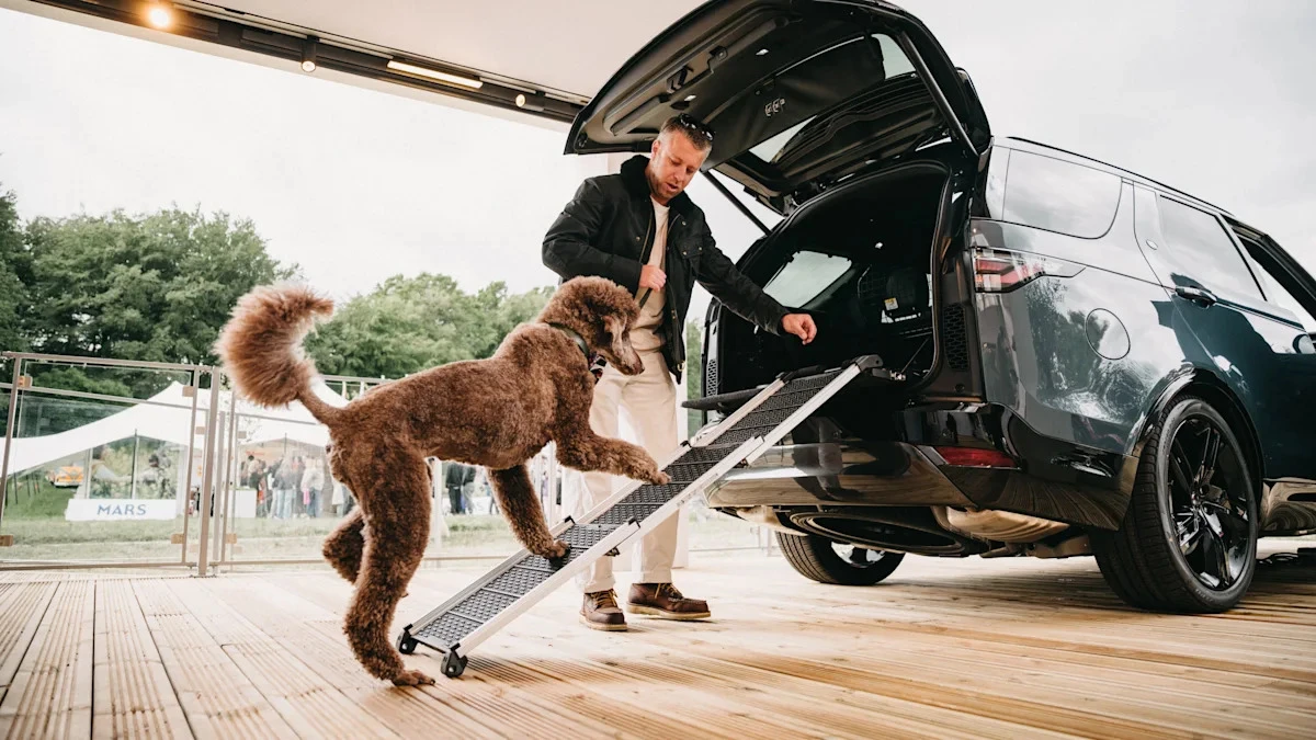 These are some of the best gadgets to pack in a car with you this summer