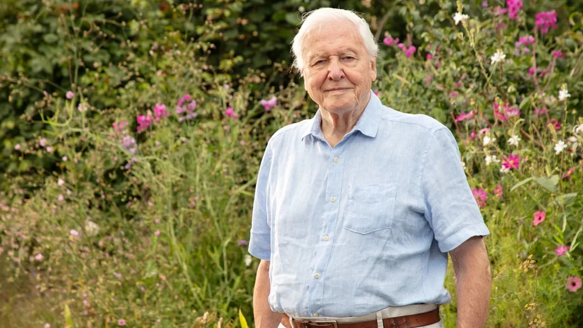 Sir David Attenborough celebrated for ‘lifetime of extraordinary service’