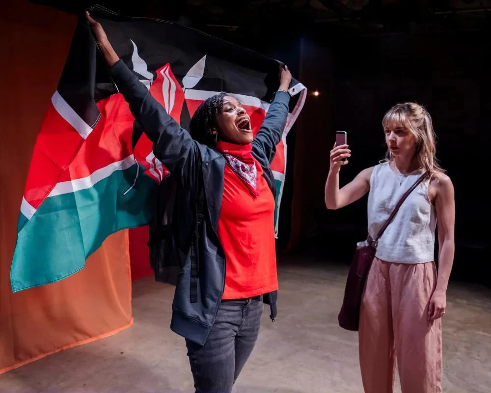 A Fine Idea review – international development drama laden with number-crunching