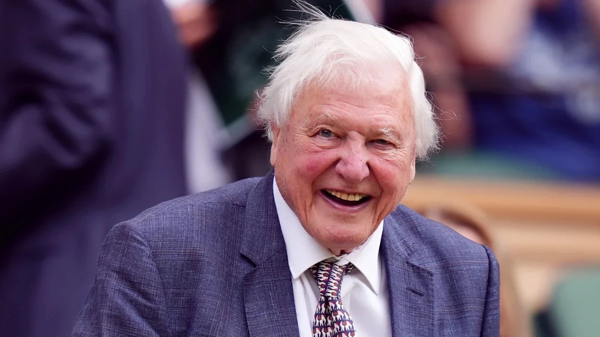 David Attenborough hailed as ‘remarkable man’ at Royal Albert Hall celebration