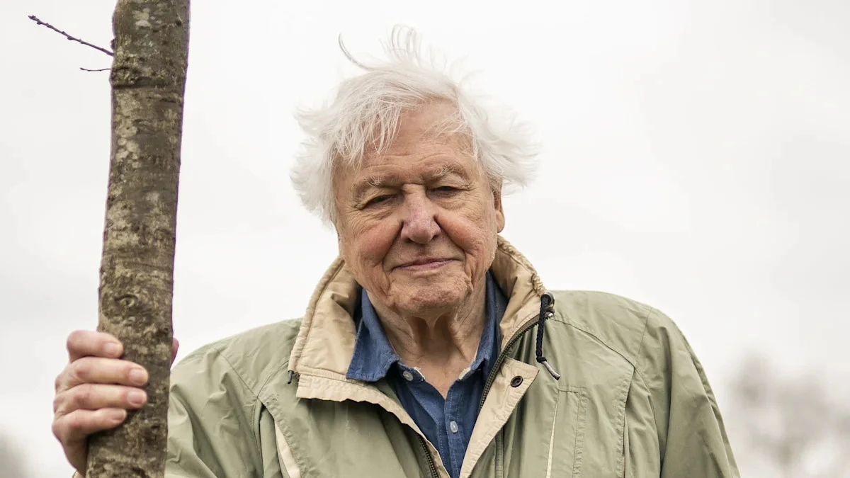 Prince of Wales celebrates David Attenborough’s ‘profound’ influence