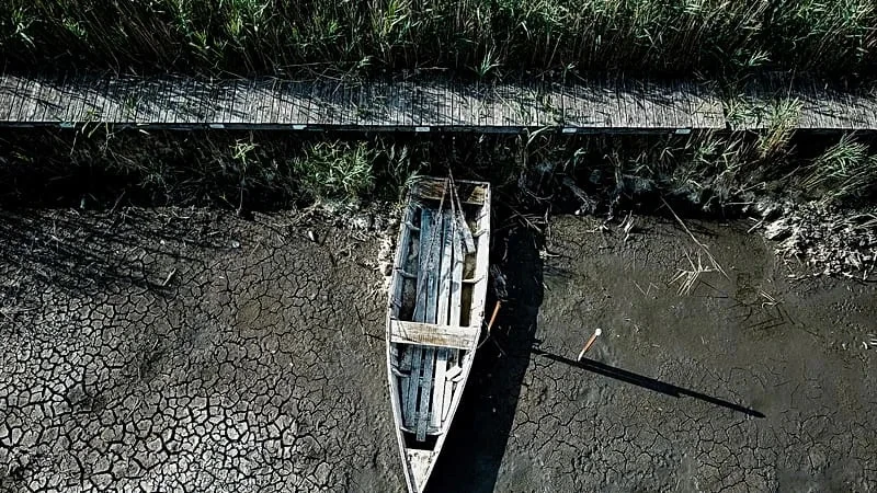 Hungary’s third-largest lake is disappearing. Can experts save it before it’s too late?