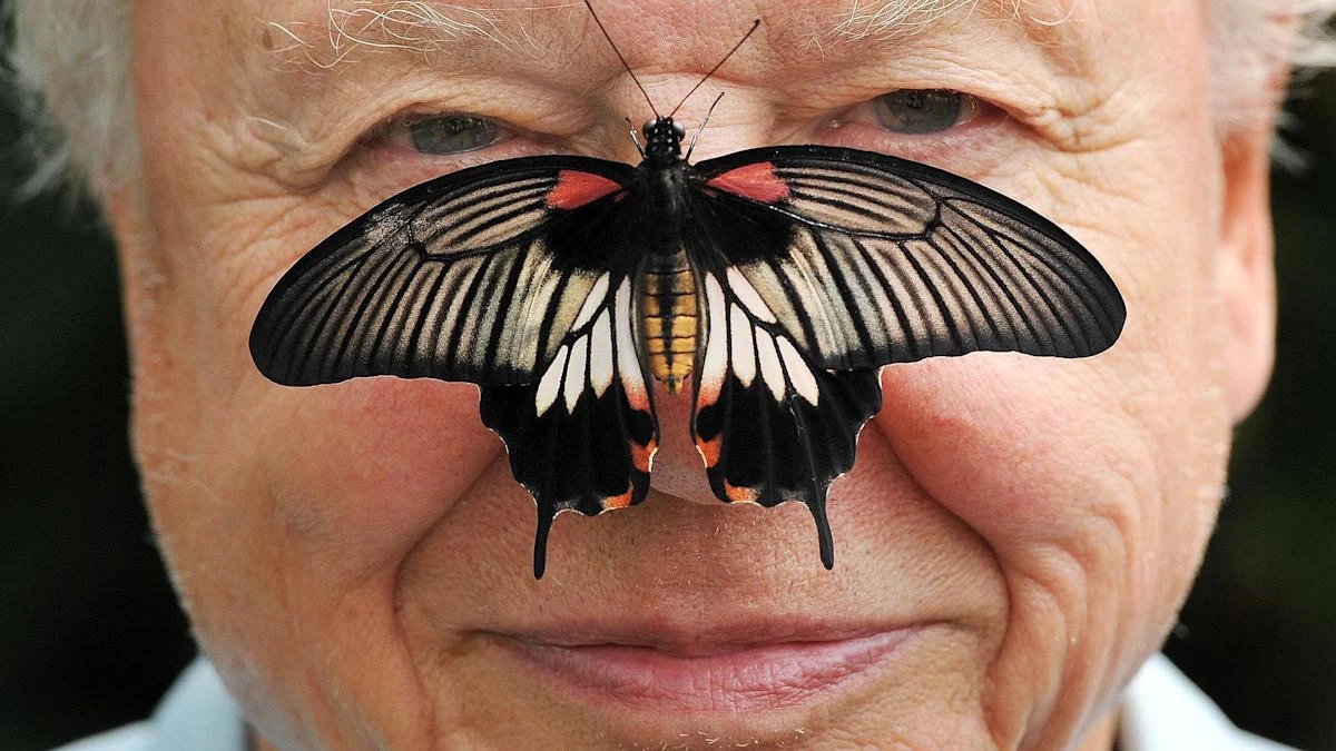 In Pictures: Sir David Attenborough’s charming friendship with animals