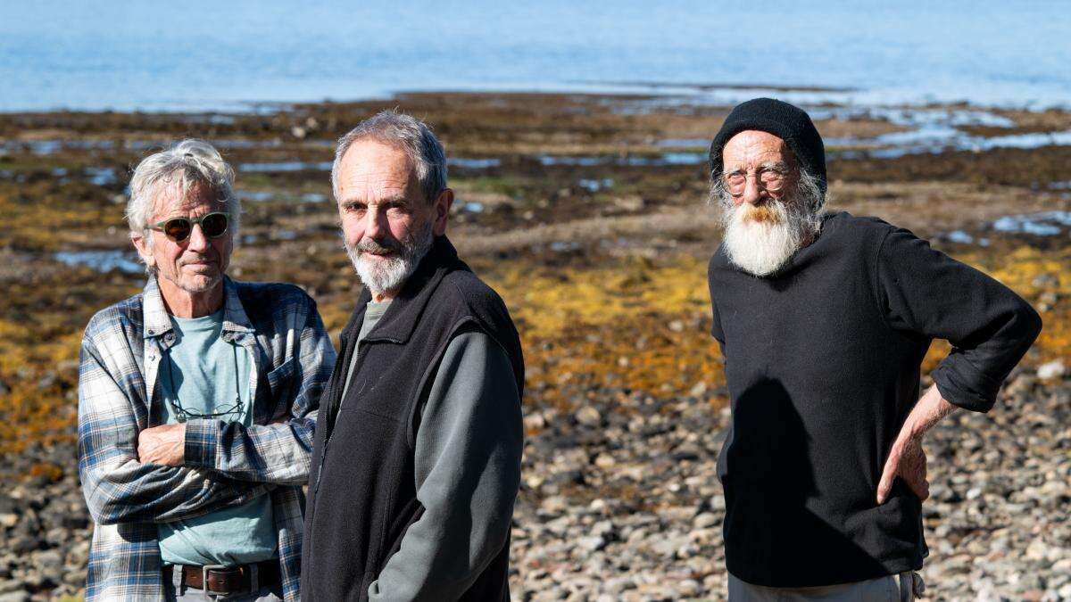 Undersea wilderness ‘lost’ in Scotland’s coastal waters, conservationists warn