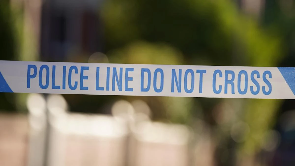 Woman, 25, killed and two people injured as car hit pedestrians