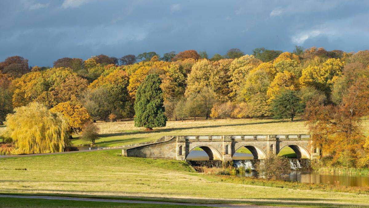 National Trust says autumn colour could be ‘mixed bag’ after wet year