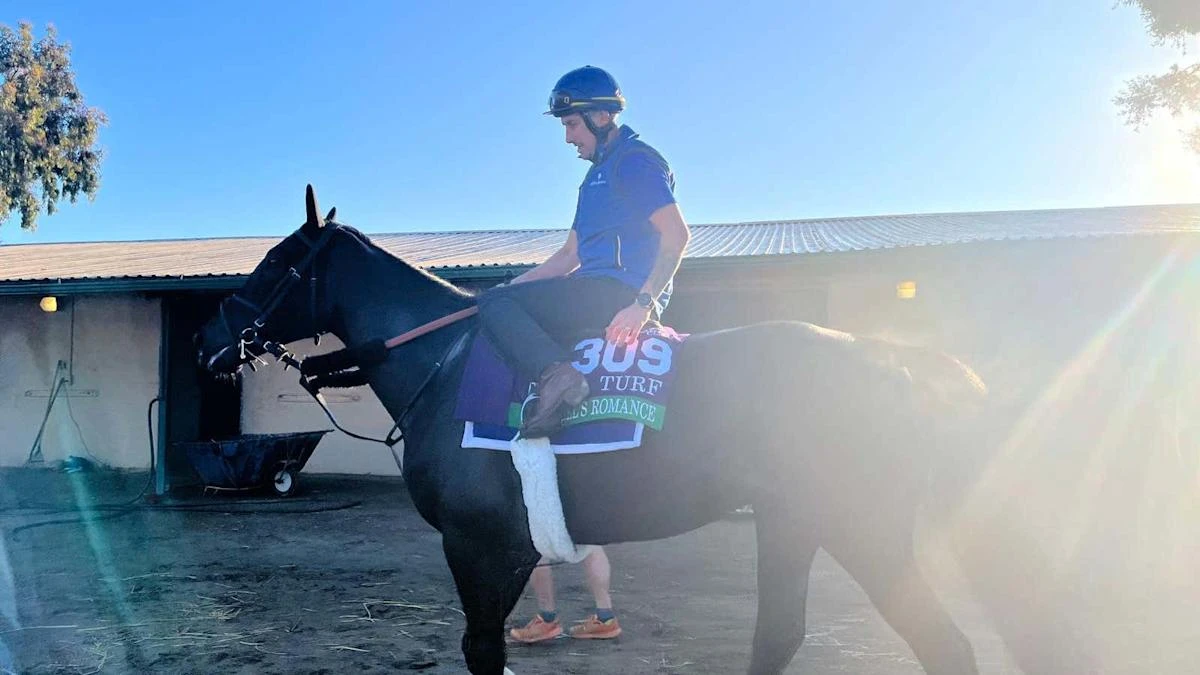 Rebel’s Romance ‘pitch perfect’ with Breeders’ Cup history in sight