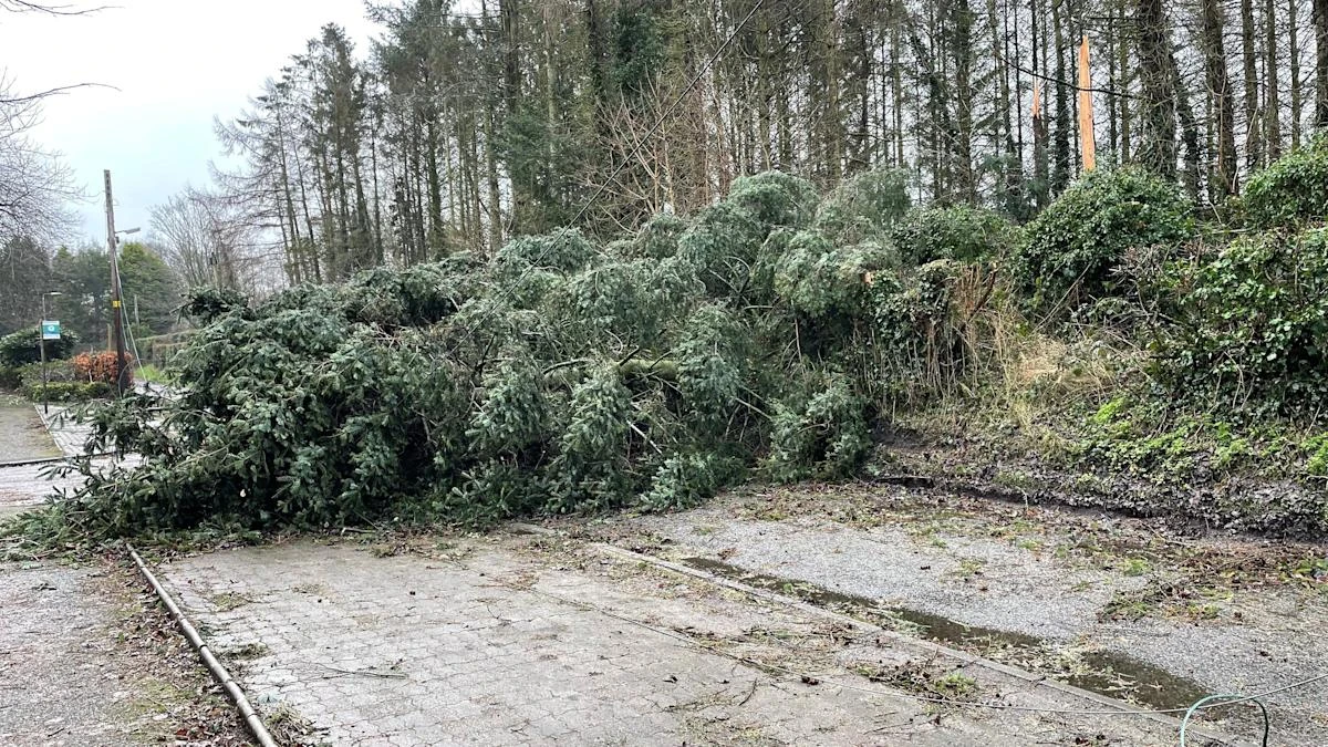 Claims for weather-related damage to homes and possessions hit record £226m