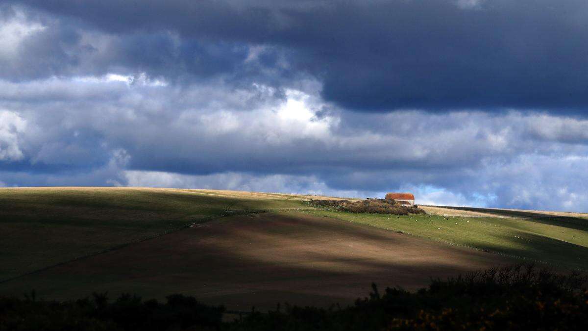 Campaigners call for ‘Domesday’ survey of nature efforts by large landowners