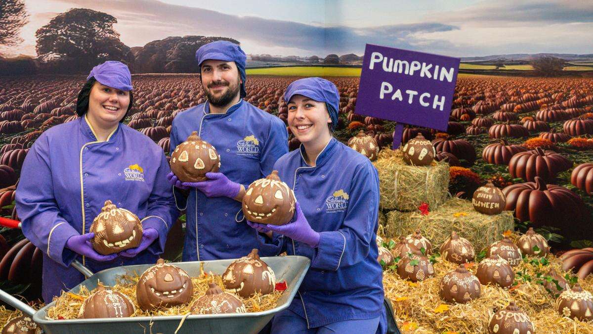 Cadbury World chocolatiers create edible pumpkin patch for Halloween