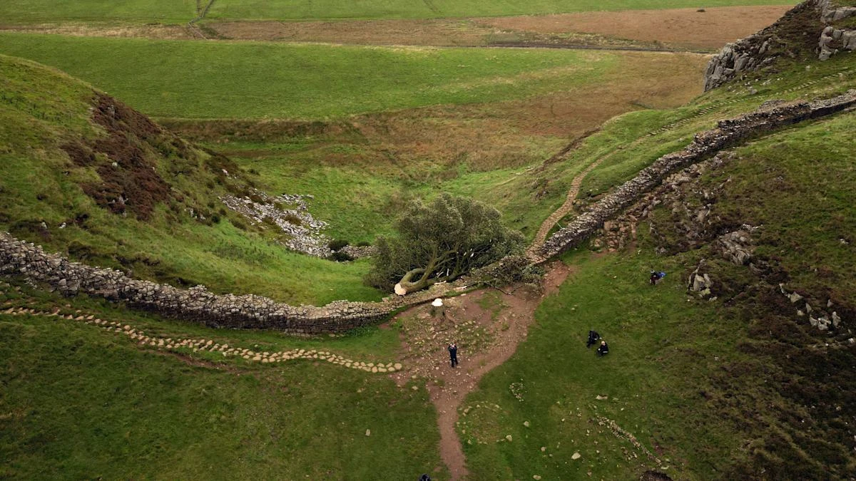Sycamore Gap accused told police he was framed by someone ‘stirring the pot’, jury hears