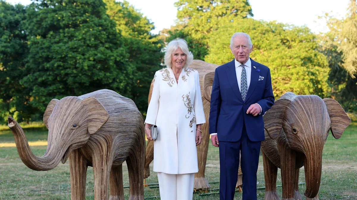 King says ‘collaboration better than conflict’ in call to help save planet