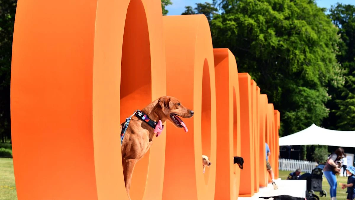 In Pictures: Dog lovers and their canine companions enjoy annual Goodwoof event