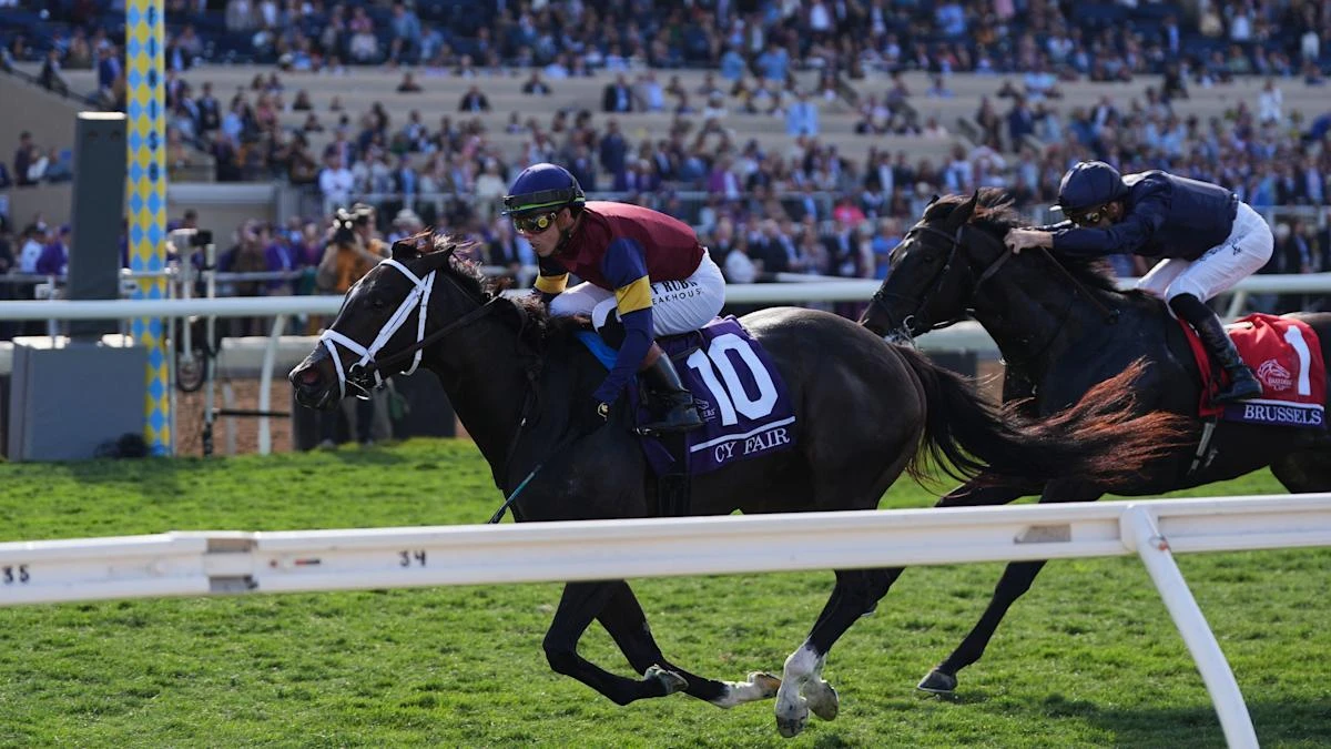 Cy Fair too good for True Love and company