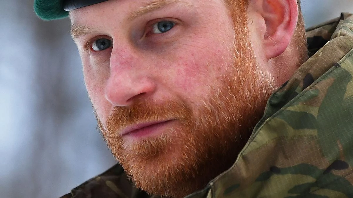 Harry meets Canadian soldiers ahead of Remembrance Day