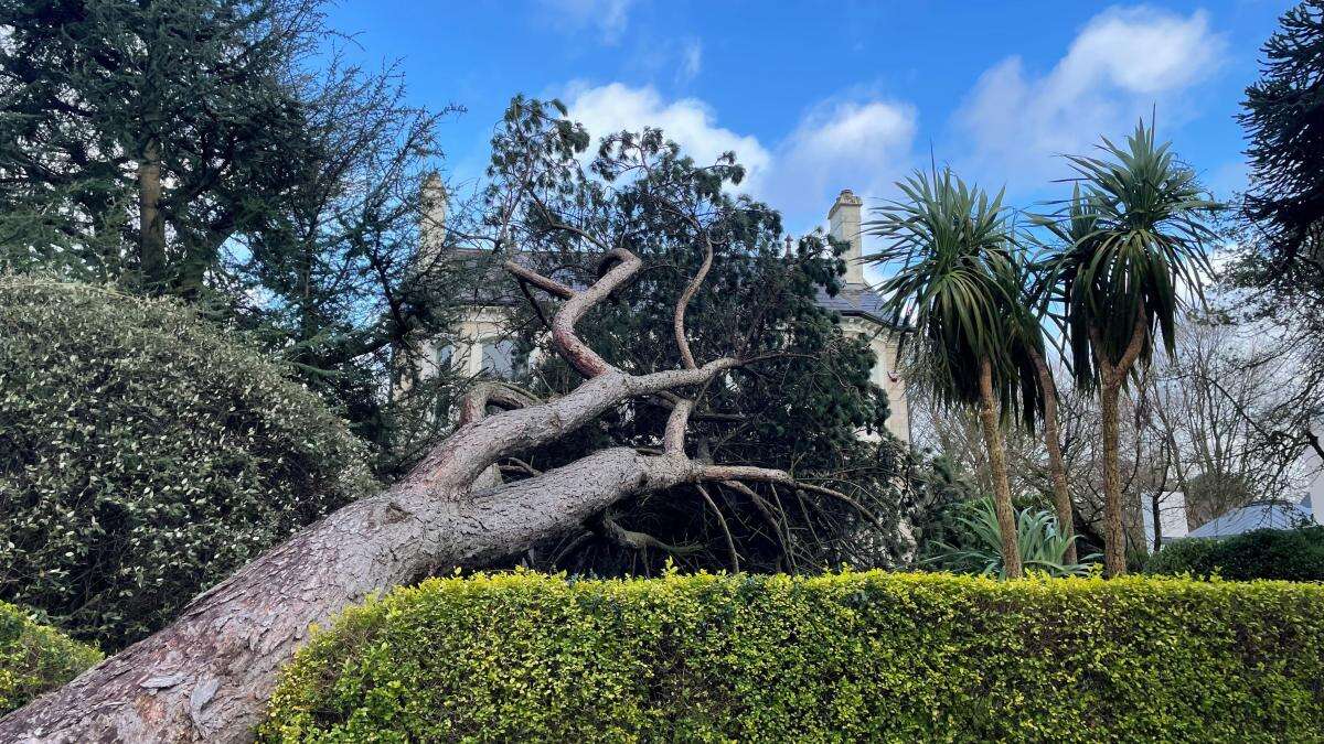 It will take days to assess all Storm Eowyn damage in Northern Ireland – police