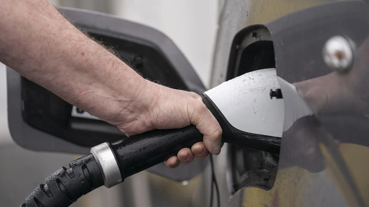 First electric car models eligible for full purchase grants revealed