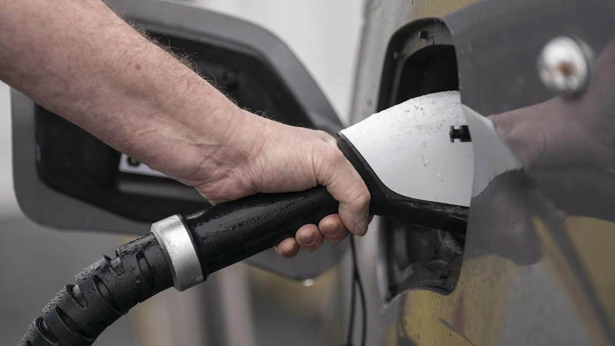 Electric transition hits ‘landmark moment’ with more than 2m EVs on road