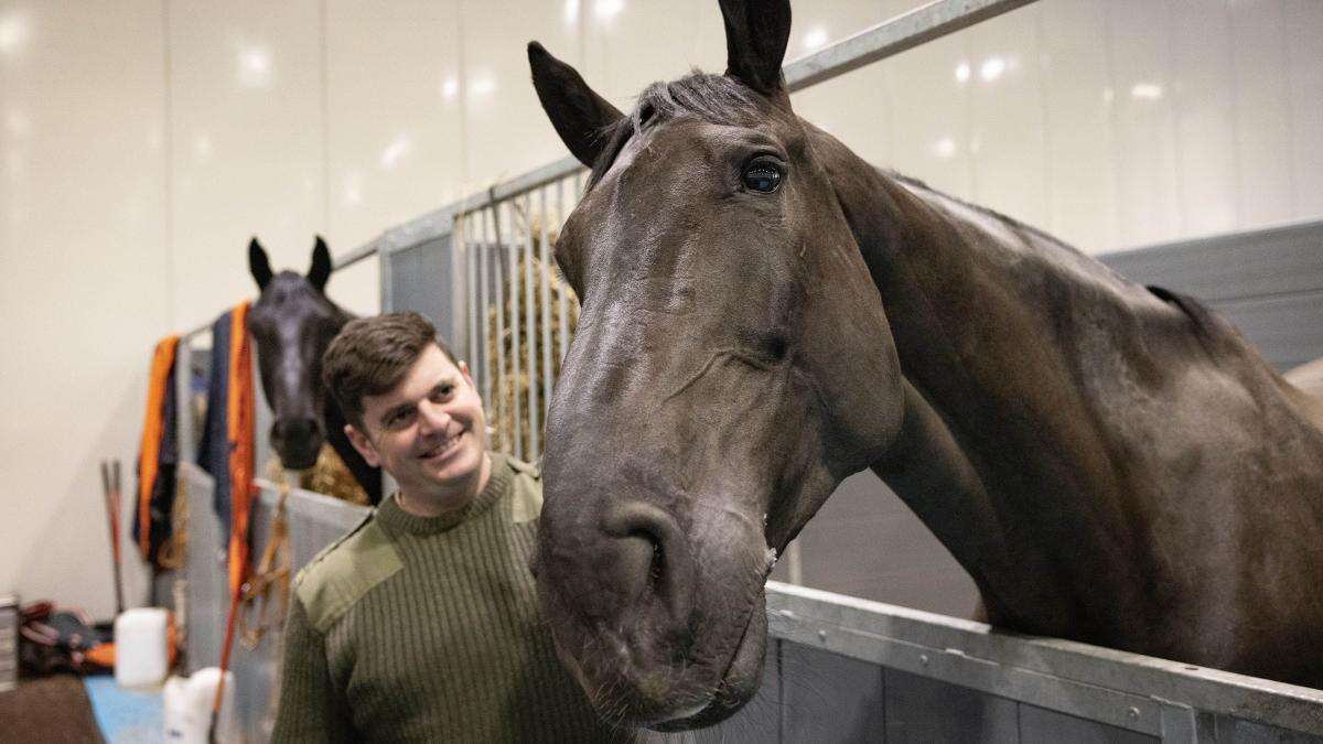 Horse that led Queen’s coffin to lie in state given ‘animals’ OBE’