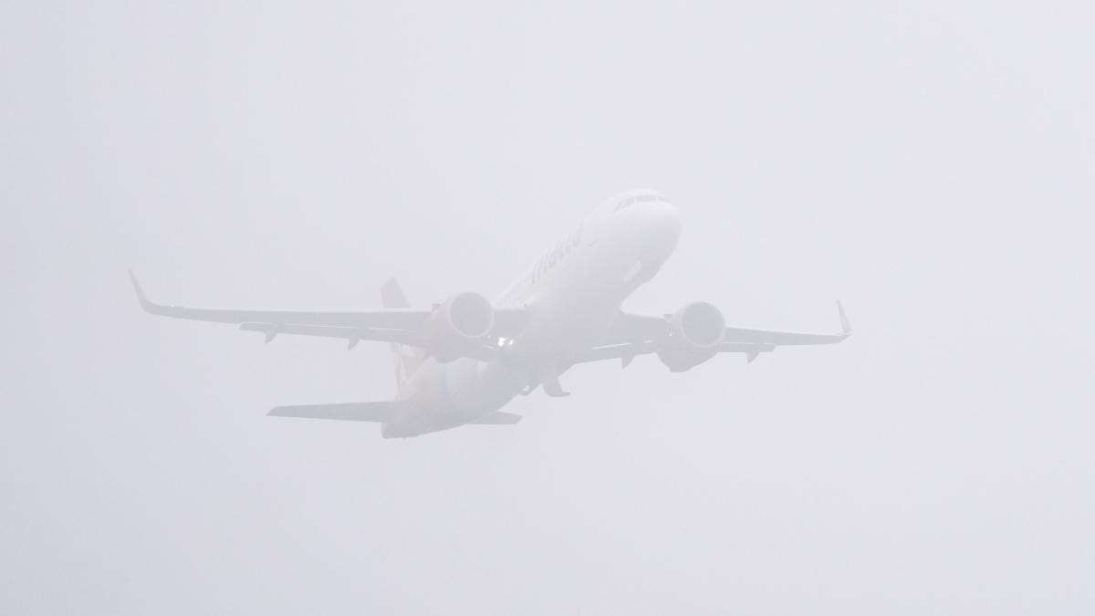 What are passengers entitled to if their flight has been affected by fog?