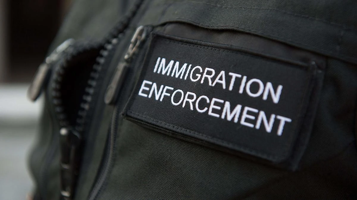 Chances to investigate criminal smuggling gangs missed, says watchdog