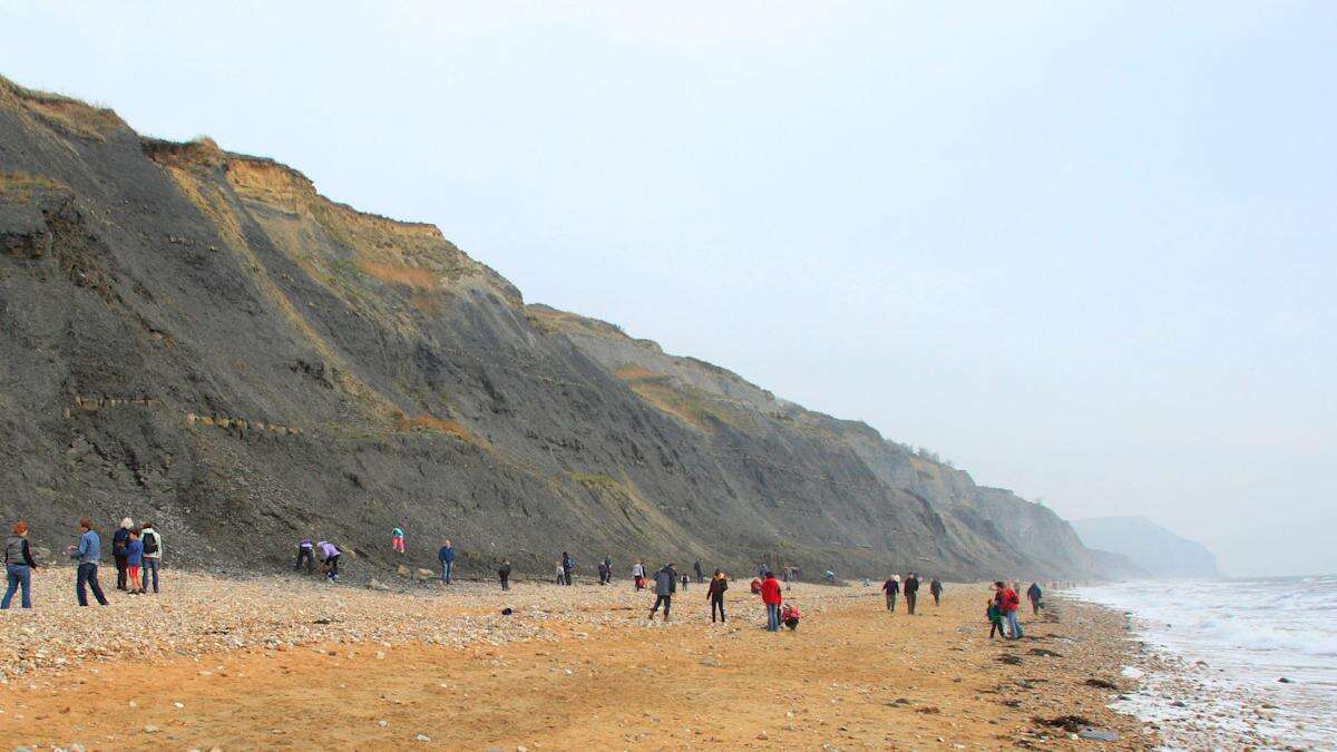 Bomb squad scrambled to ‘ordnance’ on beach that turned out to be a saucepan