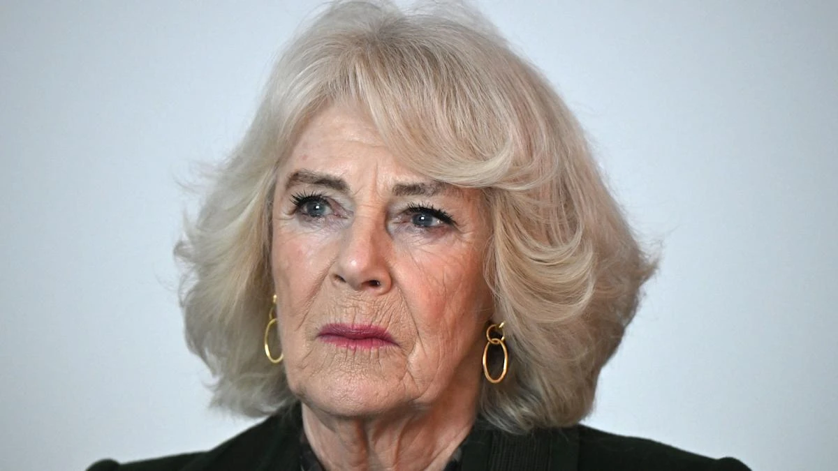 Camilla fought off indecent assault attacker with her shoe, book reveals