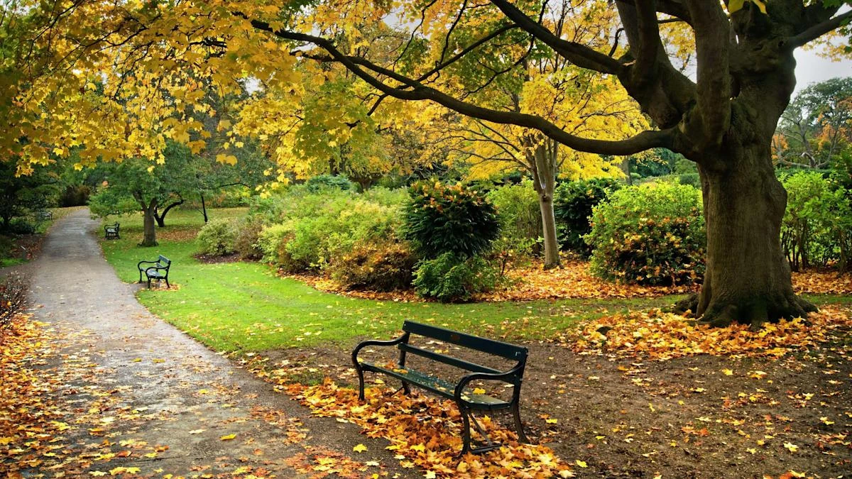 Historic gardens and parks at risk from proposed planning rule changes – charity