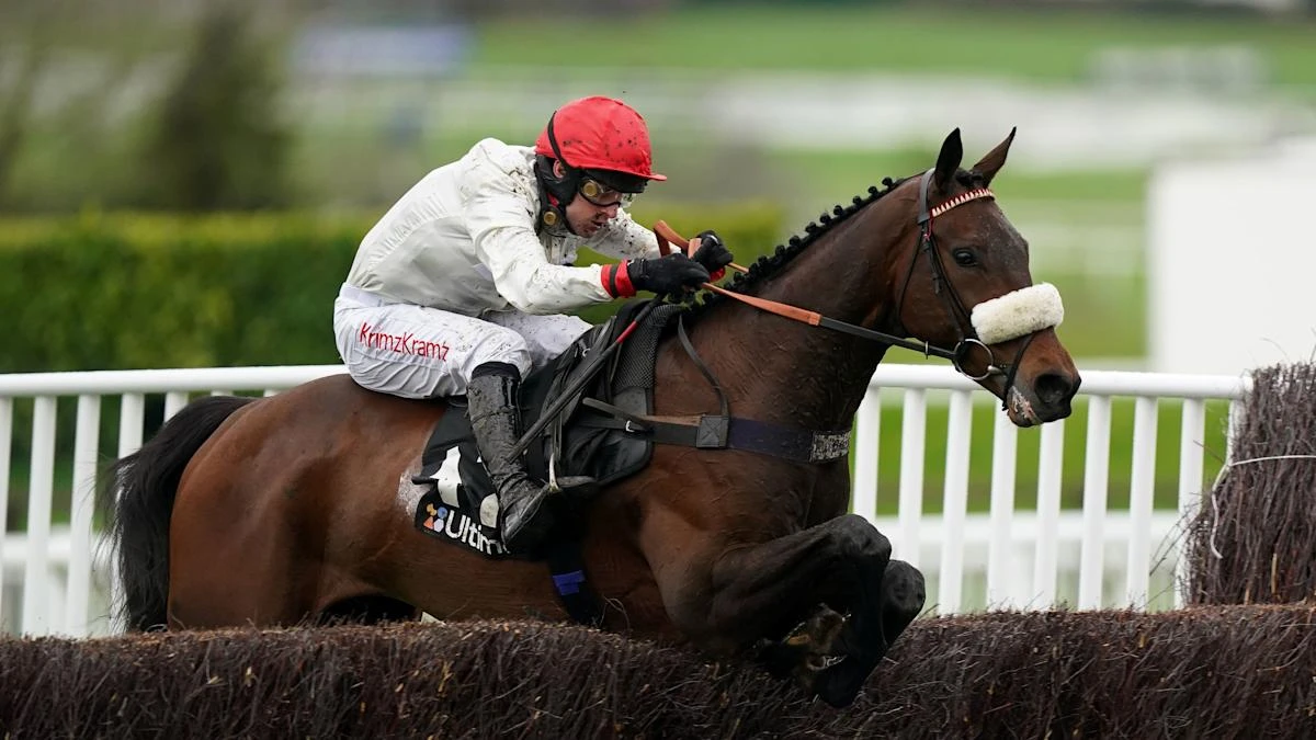 Cheltenham Festival winner Chianti Classico retired