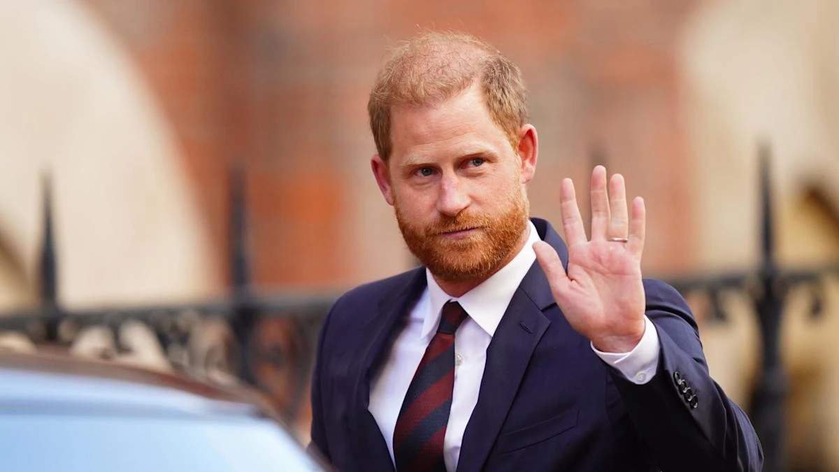 Harry calls for Home Secretary to review security body after losing appeal