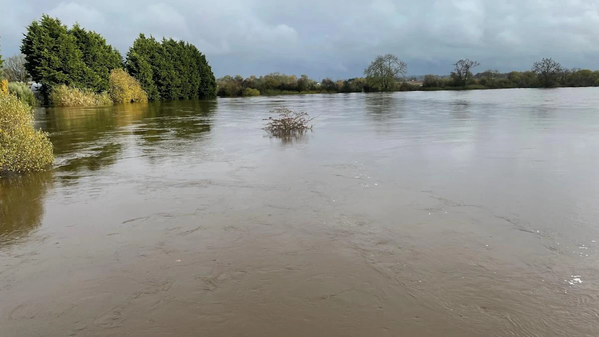 Status orange rain weather warning issued