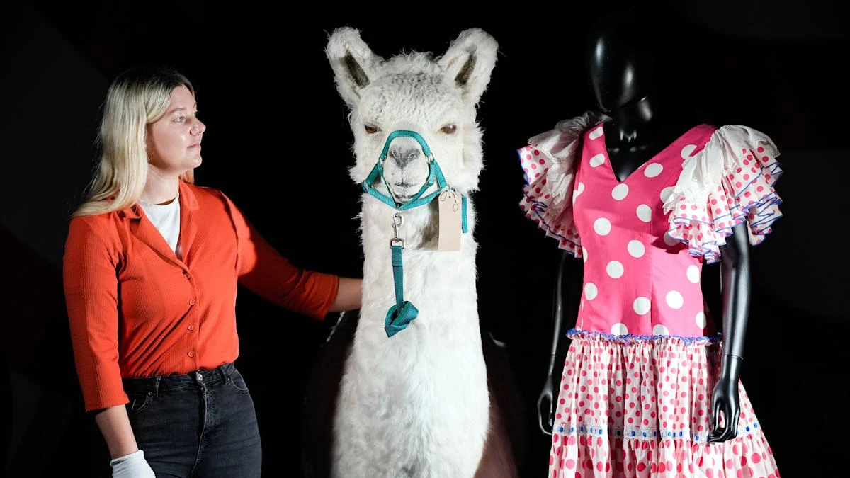Costumes, props and ‘llama’ from Monty Python’s final live show to be auctioned