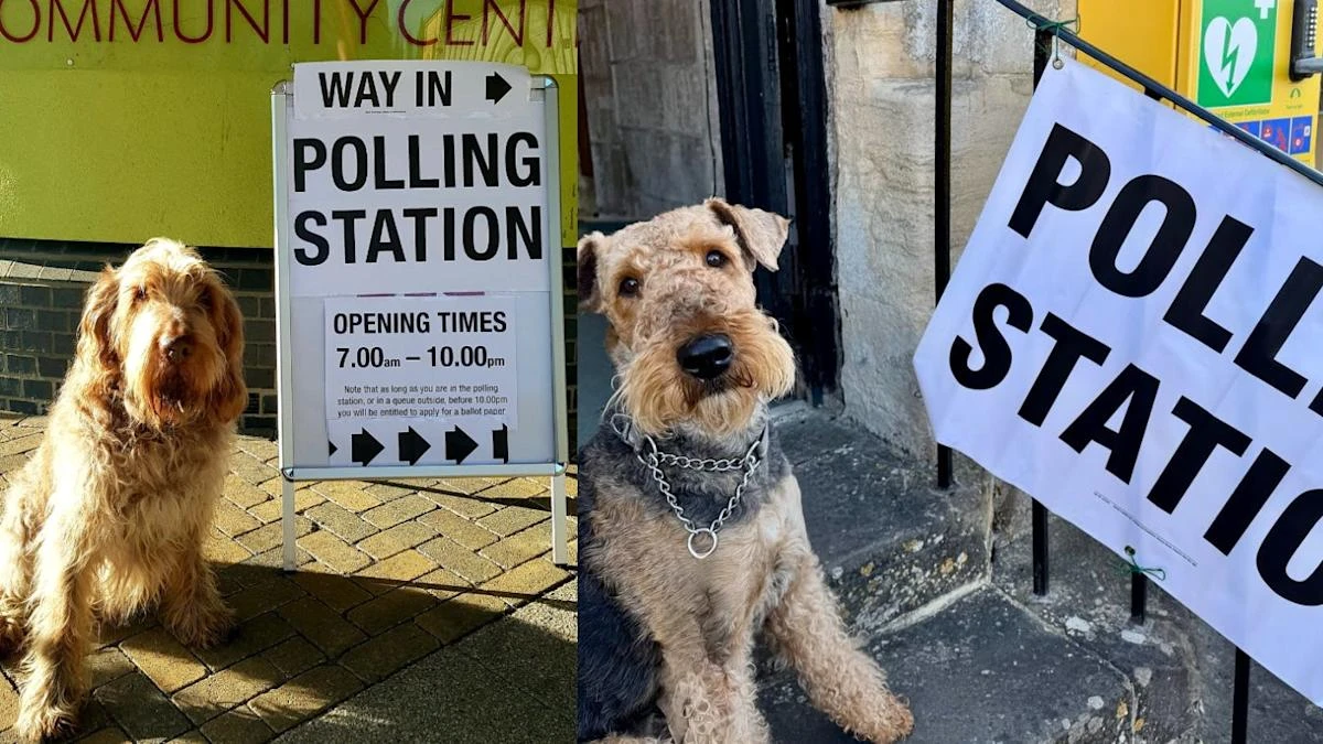 Dogs pose outside polling stations as owners urge voters to do ‘civic duty’