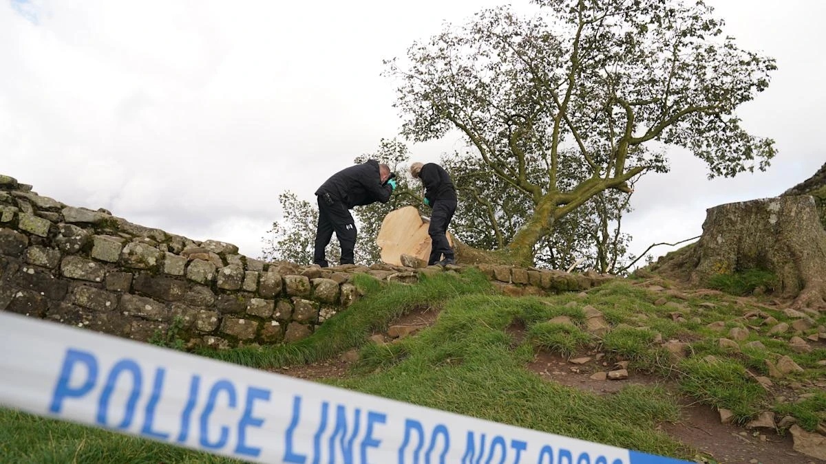 Sycamore Gap accused ‘could not understand’ outcry as it was ‘just a tree’