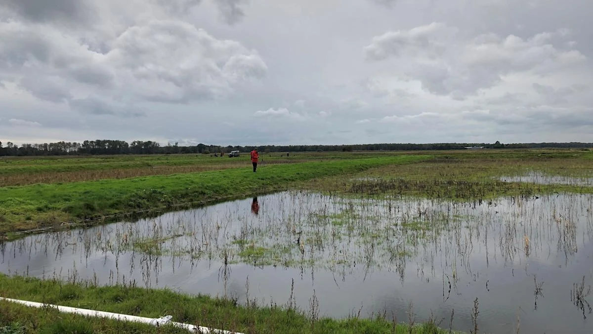 Pioneering mapping data shows 80% of England’s peatlands are dry and degraded