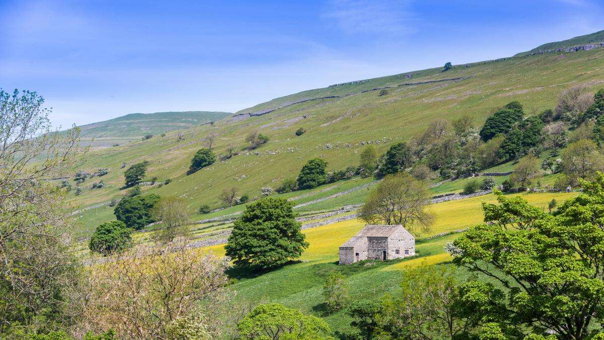 Cutting nature-friendly farming budget would be act of self harm, say Tory MPs