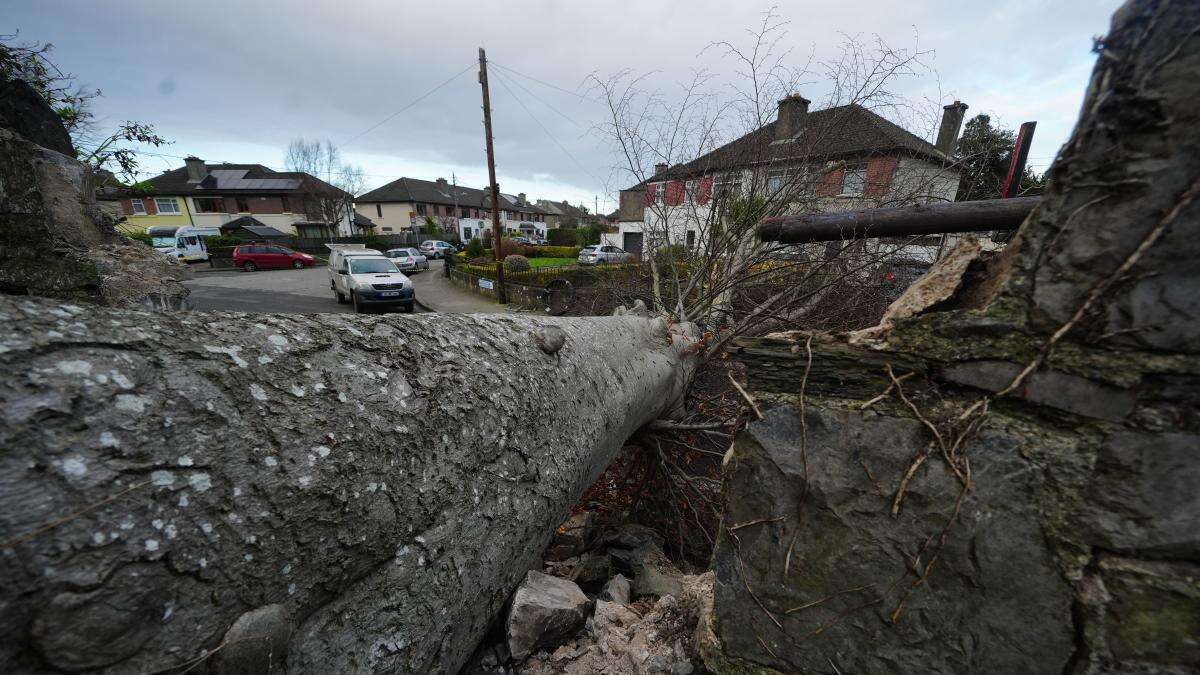 Every effort being made to restore power and electricity supplies – Taoiseach