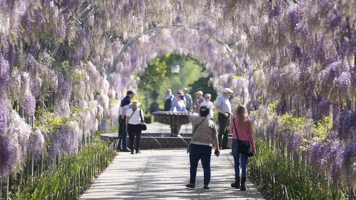 UK set for ‘classic’ spring weather, including frosty nights and warm days