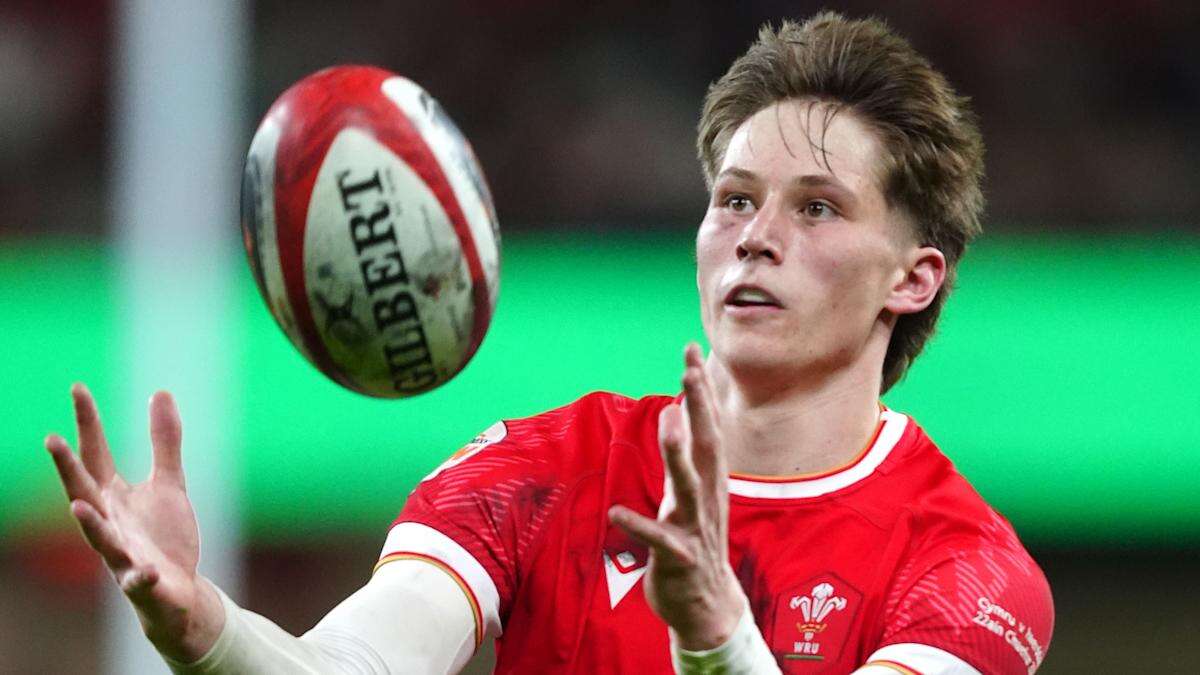 Ellis Mee reflects on promising Wales debut that evoked memories of George North