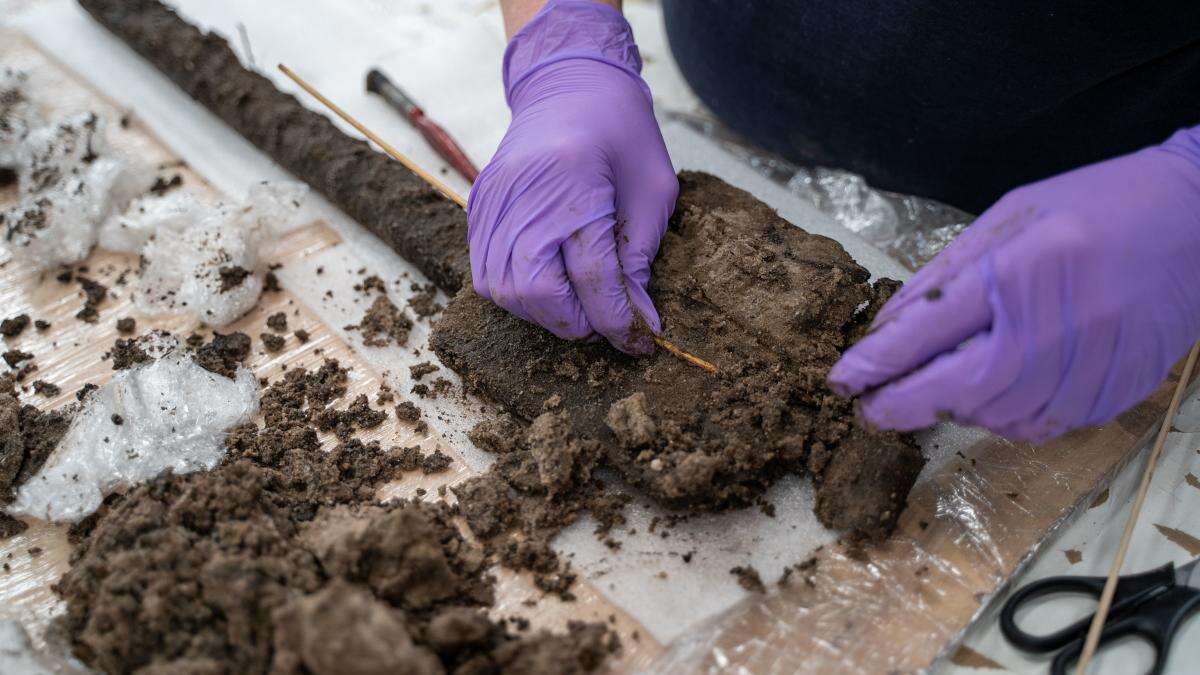 ‘Unique’ Bronze Age wooden spade found during wetlands creation project