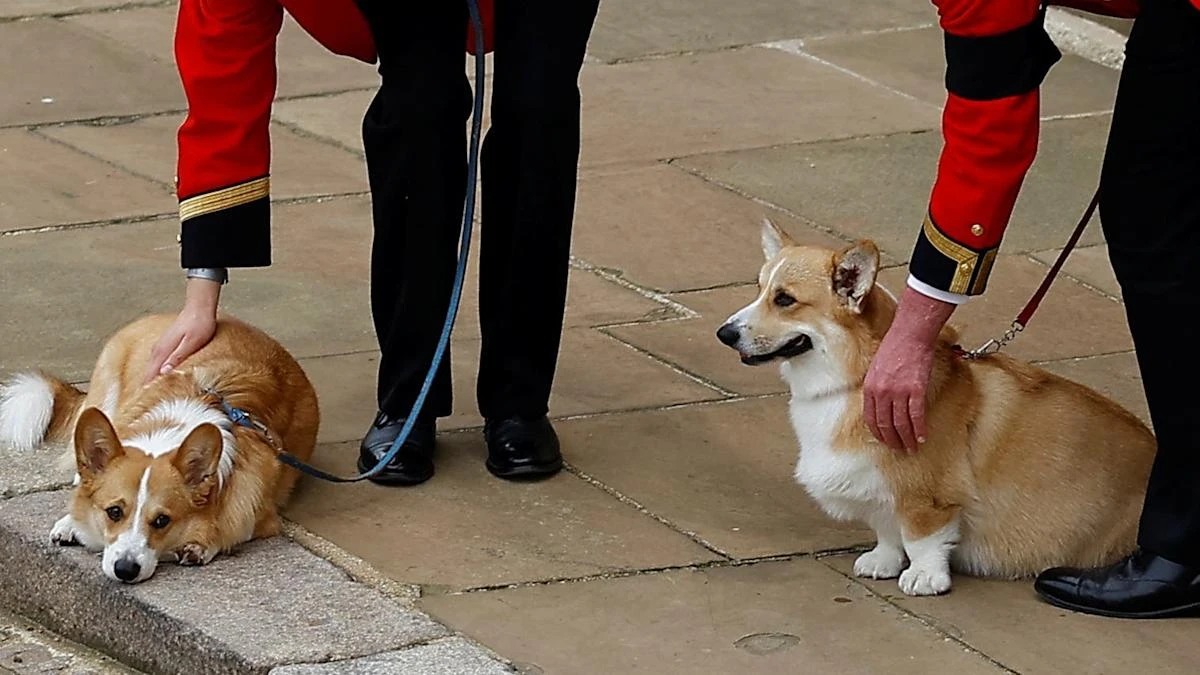 Duchess of York says she is ‘sure’ late Queen talks to her through corgis